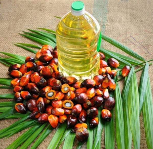 Refined Palm Oil